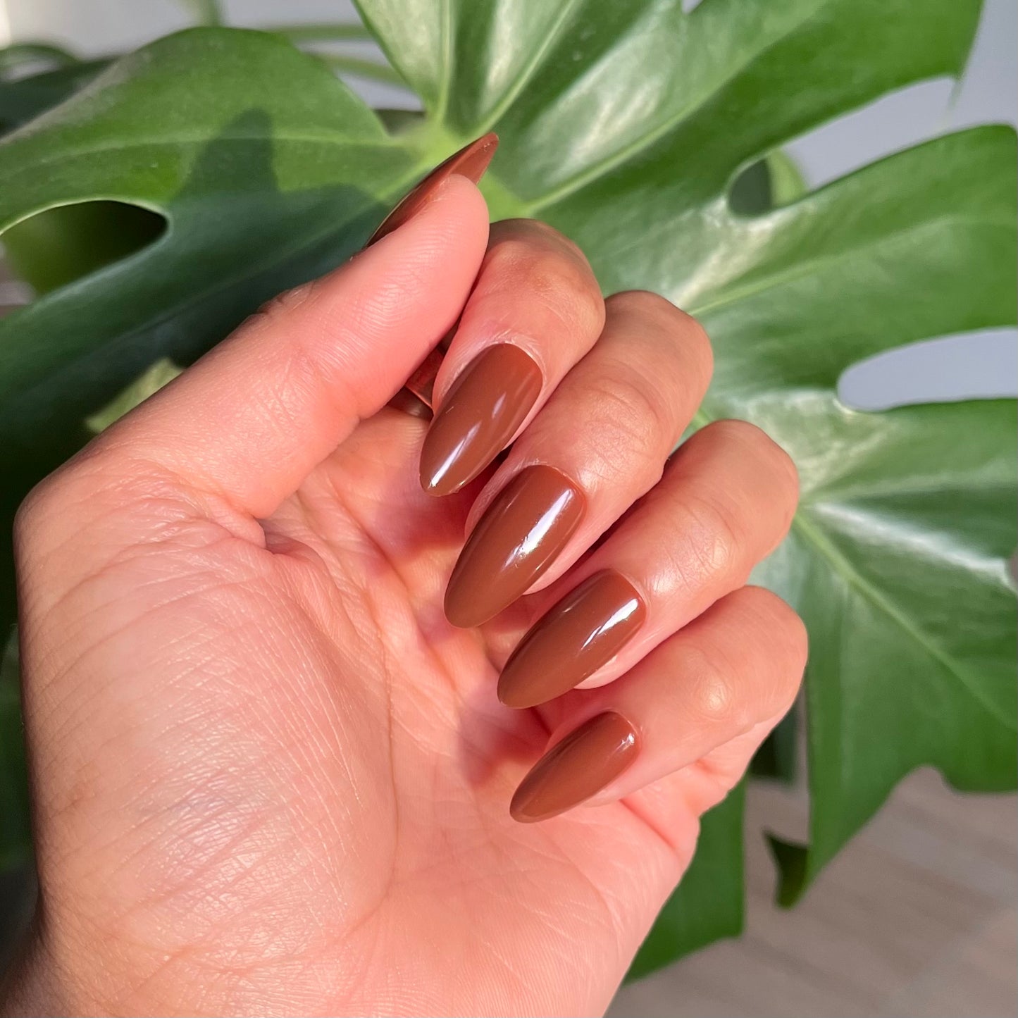 CHOCOLATE COVERED ALMONDS PRESS ON NAILS